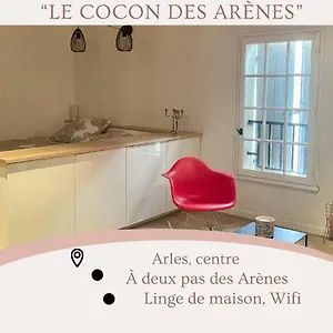  Appartement Cocon Au Pied Des Arènes D'arles